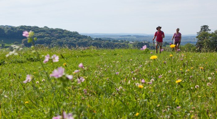 D�couverte de la nature 